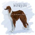 Borzoi Breed Template