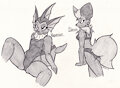 Eeveelutions 2