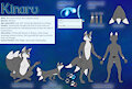 Kinaru 2024 reference sheet by norvilion