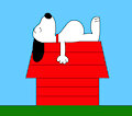 Snoopy the Dog Sleeping on a Doghouse