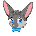 Animated Bunny