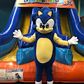 Sonic at Cowabunga's Indoor Playground