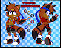 Stripes Maccoonis - Mobian Ref Sheet (2024) by Stripes