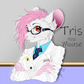 Tris the Science Meese