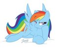 Bored Dash