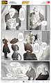 Cats n Cameras Strip 707 - Preperation and Preparedness