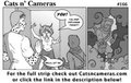 Cats n Cameras Strip #166 - A prelude to a flashback