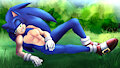 Paint me like one of your french hedgehogs by Lyrose