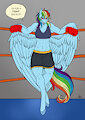 Boxing match with Rainbow Dash