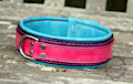 Pink & Aqua Leather Collar [For Sale]