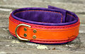 Orange & Violet Leather Collar [For Sale] by CairoSteele