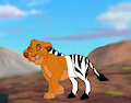 Simba the Lion Zebra