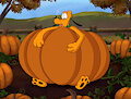 Pumpkin Patch Pluto V1