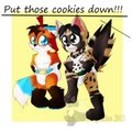 Cookie thieves