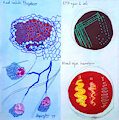 Microbiology Notebook Cover