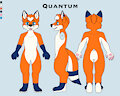 Quantum's ref sheet by Quantumfoxxo