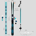 skis ref