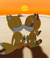 Tails and Marine kissing in the sunset by Gardenofchaos