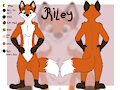 Riley - character ref sheet by KaisArtworkStudios