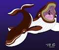 JR Whale Form