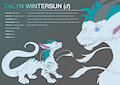 Commission - Talyn Wintersun Character Sheet