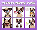 Sticker Pack - Carter by Riddlr0w0