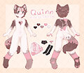 Quinn SFW ref by purrypurin