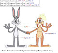 MPA body chart for Bugs Bunny and Lola Bunny by ChrisTheWhaleKing