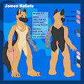 RealityEscapist Refsheet