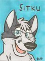 Rainfurrest 2010 Badge by Balto 