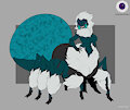 Jumping Spider Adopt-OPEN