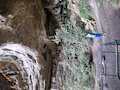 Standing inside Walls Cave, Blackheath NSW by Didgeree