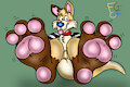 Dingoroos Paws Revamp