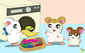 Hamham Laundry Day