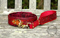 Ruby Drake Collar & Leash [For Sale]