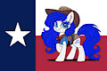 Furs Across America - My Little Pony Cowgirl