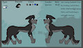 Raven Ref Sheet by RavenTheWolf