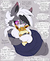 Puppy info by CookieSkoon