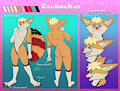 Cachuchas Reference Sheet Simple version!!! :3