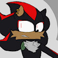 Shadow T Hedgehog by 2Fast2Furious