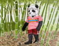 Bamboo Garden