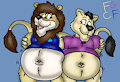 Chubby Lion Meet Up