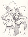 Fennec Siblings