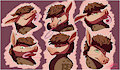 Jack, the Aardvark!! Expression sheet!!! by Cachuchas