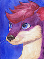 Handsome Stoat Portrait~