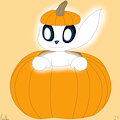 Ori in the Pumpkin