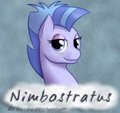 Nimbostratus - Con Badge