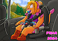 Cali Carseat by Friar