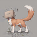 Fox Stuck in a Box by foxbox101