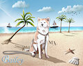 Bailey on a Sunny Beach - Commissioned Pet. by Mikkiarts01